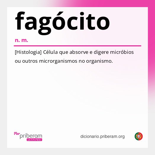 Significado de fagócito