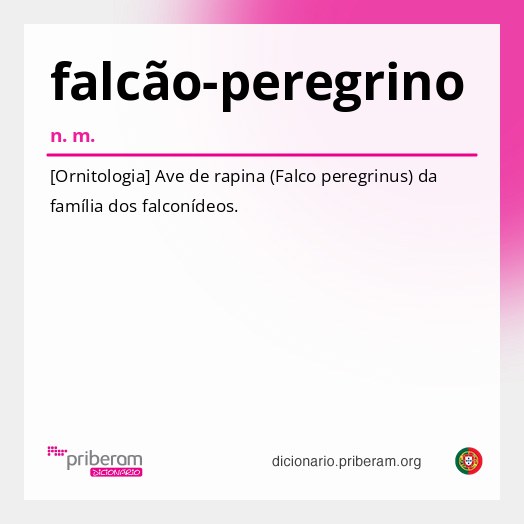 Significado de falcão-peregrino