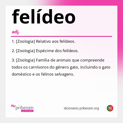 Significado de felídeo