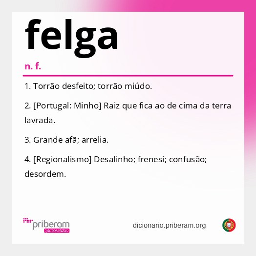Significado de felga
