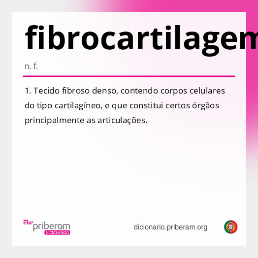 Significado de fibrocartilagem