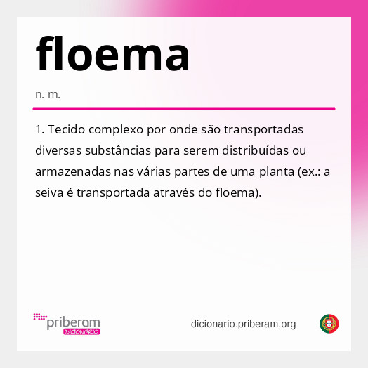 Significado de floema