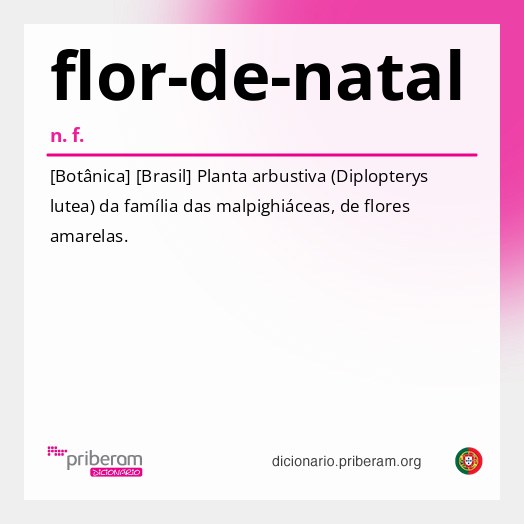 Significado de flor-de-natal