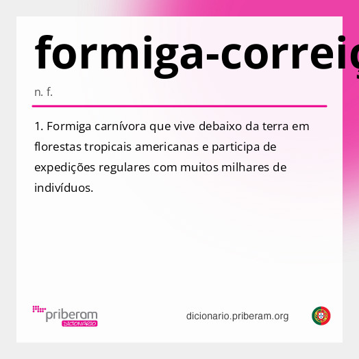 Significado de formiga-correição