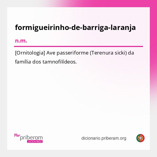 Significado de formigueirinho-de-barriga-laranja