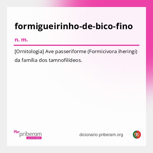 Significado de formigueirinho-de-bico-fino