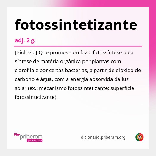Significado de fotossintetizante