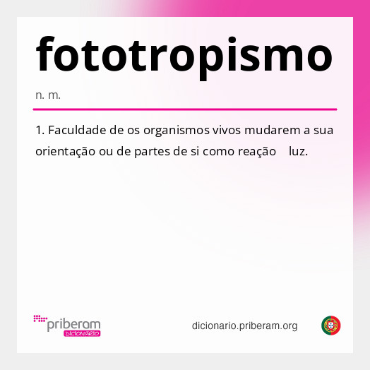 Significado de fototropismo