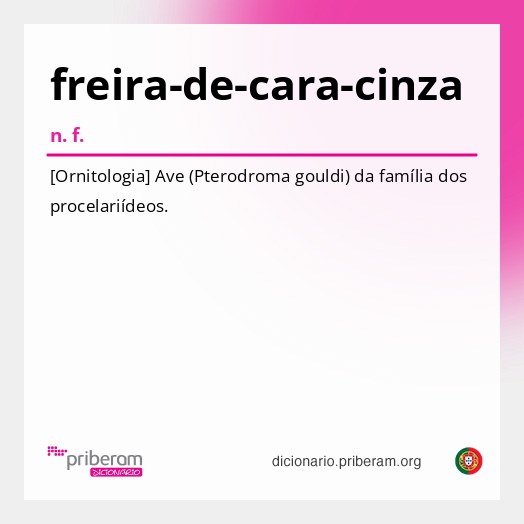 Significado de freira-de-cara-cinza