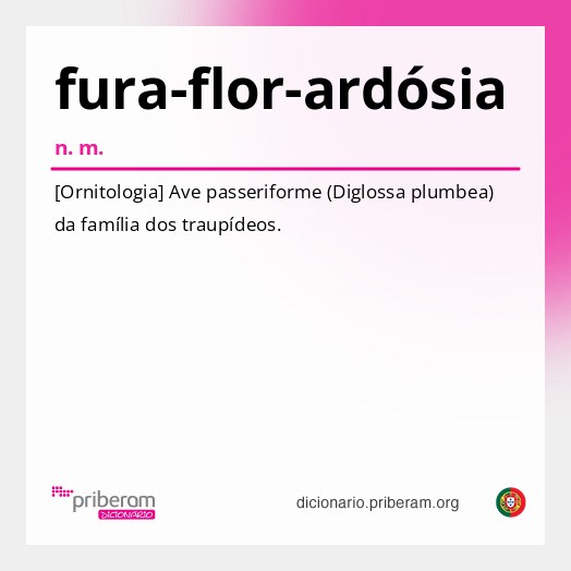 Significado de fura-flor-ardósia
