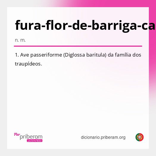 Significado de fura-flor-de-barriga-canela