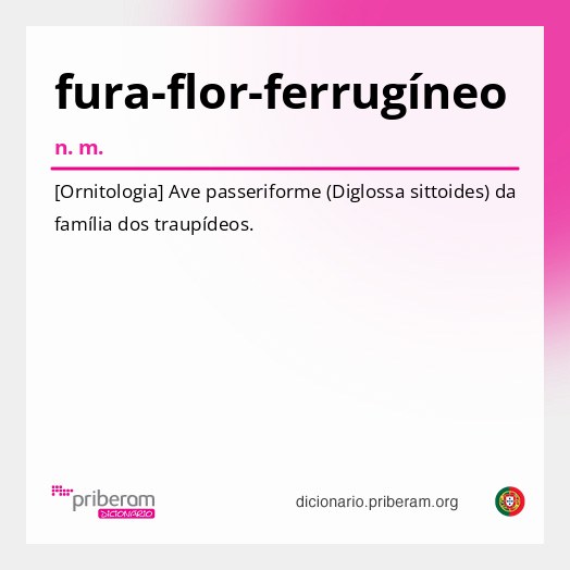 Significado de fura-flor-ferrugíneo