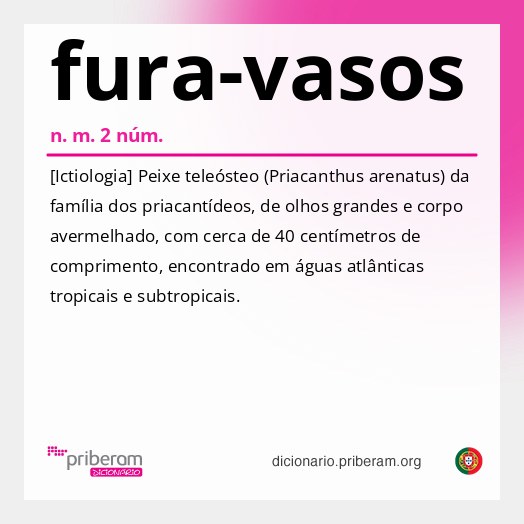 Significado de fura-vasos