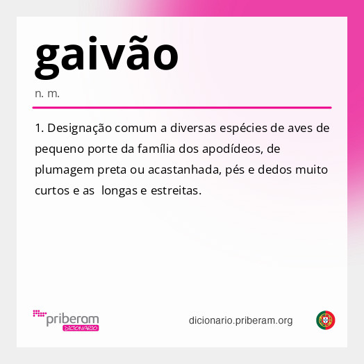Significado de gaivão