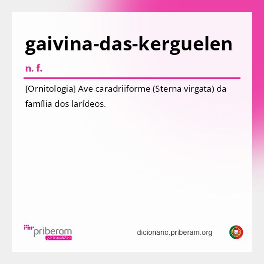 Significado de gaivina-das-kerguelen