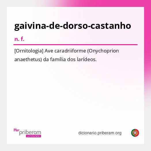 Significado de gaivina-de-dorso-castanho