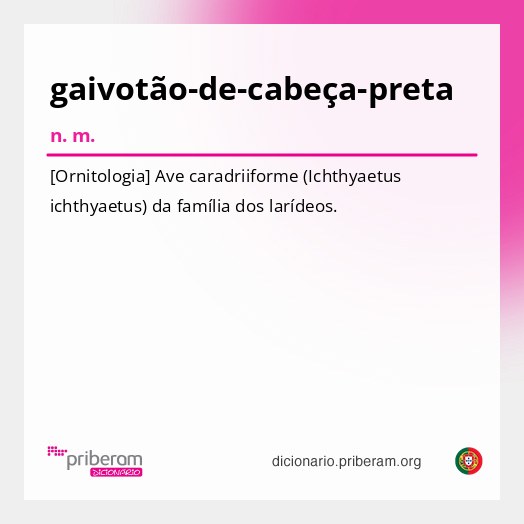 Significado de gaivotão-de-cabeça-preta