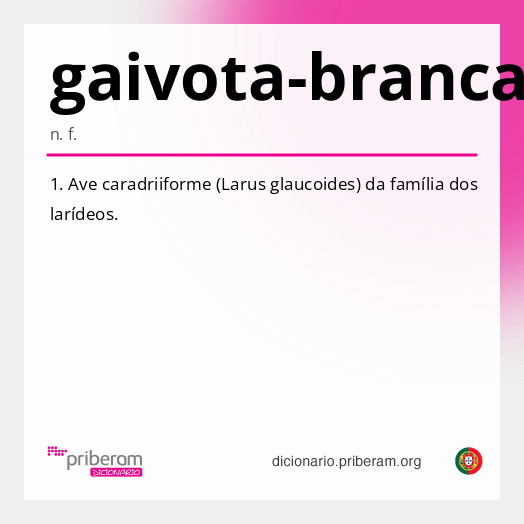 Significado de gaivota-branca