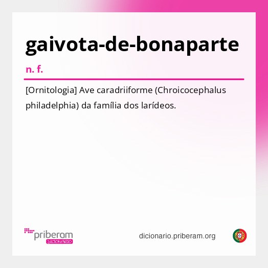 Significado de gaivota-de-bonaparte
