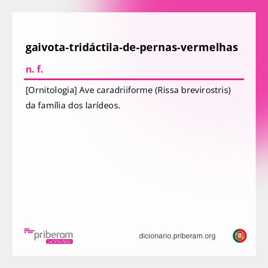 Significado de gaivota-tridáctila-de-pernas-vermelhas