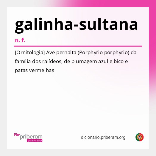 Significado de galinha-sultana
