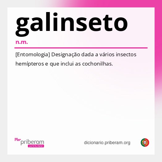 Significado de galinseto