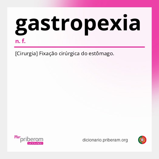 Significado de gastropexia