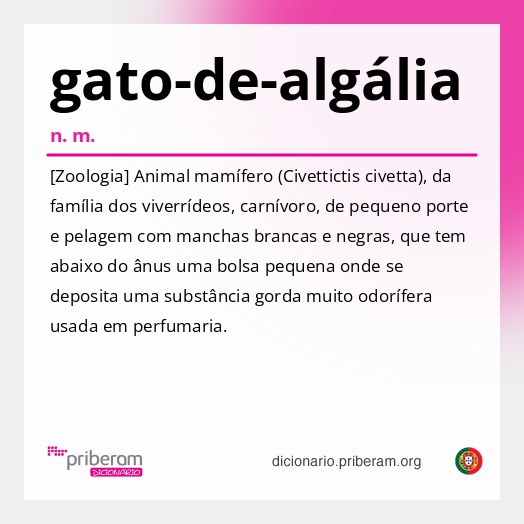 Significado de gato-de-algália