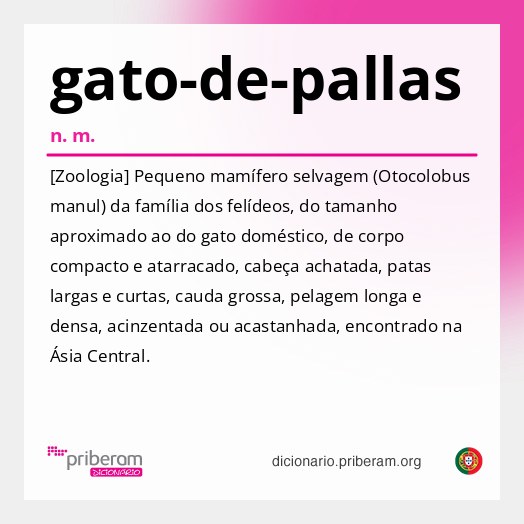 Significado de gato-de-pallas