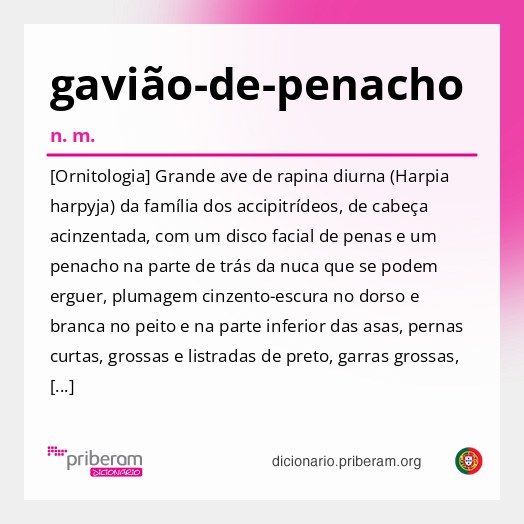 Significado de gavião-de-penacho