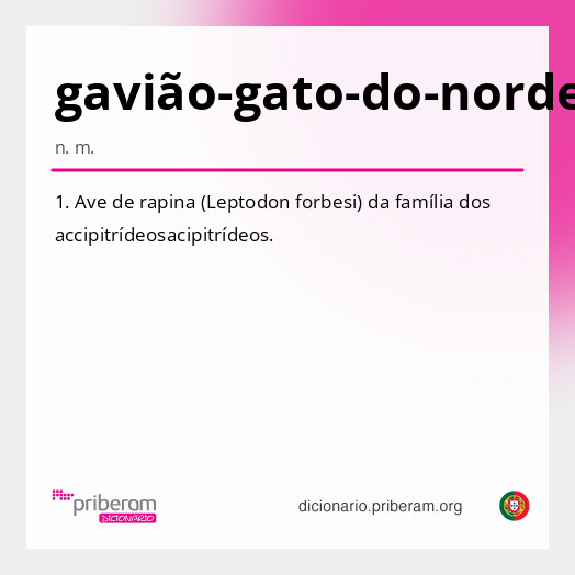 Significado de gavião-gato-do-nordeste