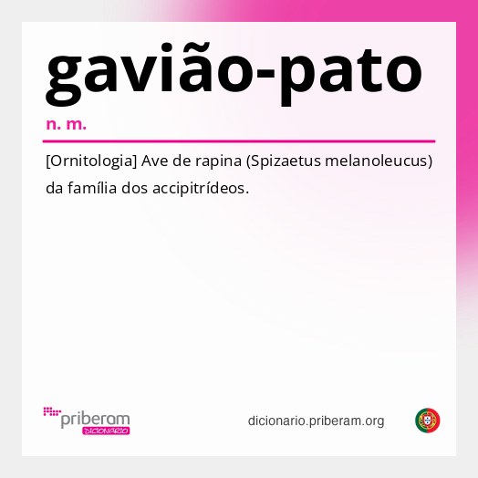 Significado de gavião-pato