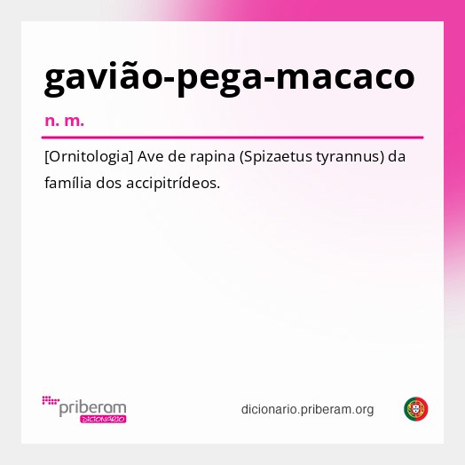 Significado de gavião-pega-macaco