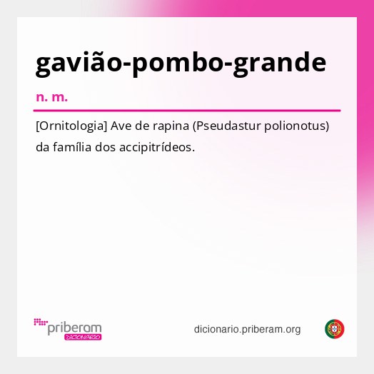 Significado de gavião-pombo-grande