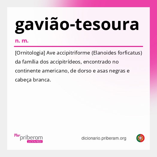 Significado de gavião-tesoura
