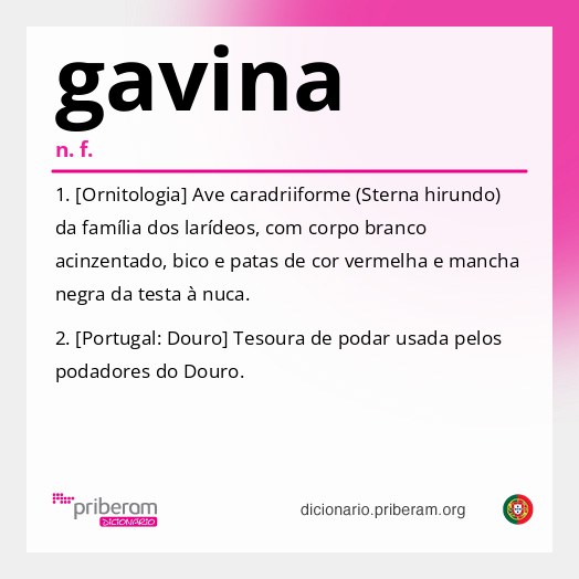 Significado de gavina