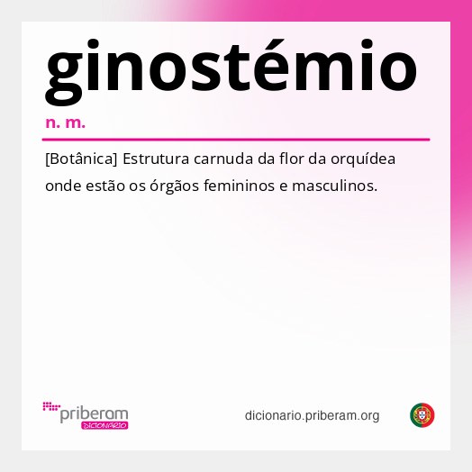 Significado de ginostémio