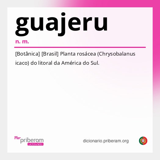 Significado de guajeru