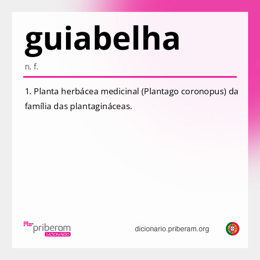 Significado de guiabelha