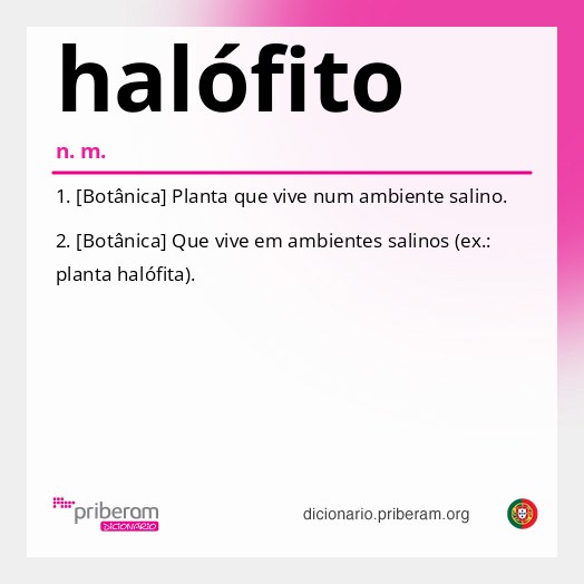Significado de halófito