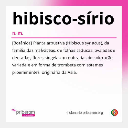 Significado de hibisco-sírio