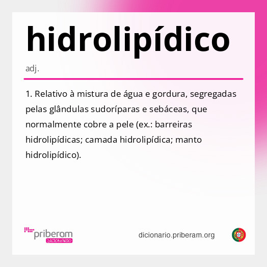 Significado de hidrolipídico