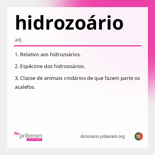 Significado de hidrozoário