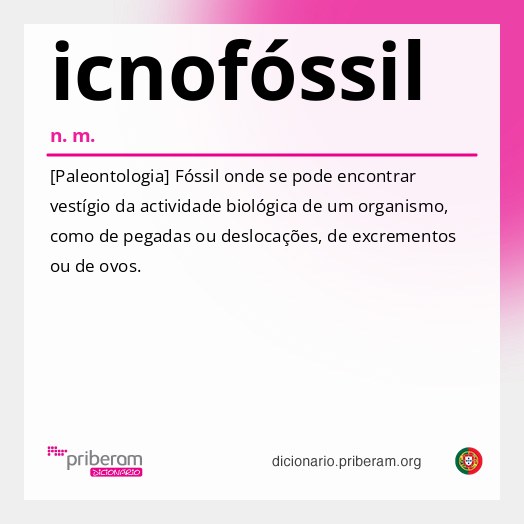 Significado de icnofóssil