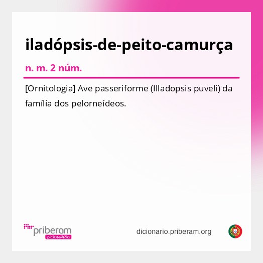 Significado de iladópsis-de-peito-camurça