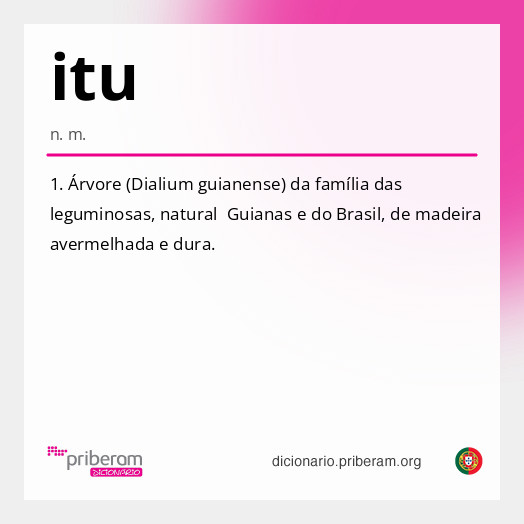 Significado de itu