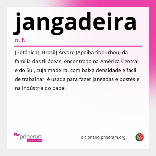 Significado de jangadeira