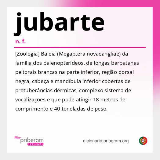 Significado de jubarte