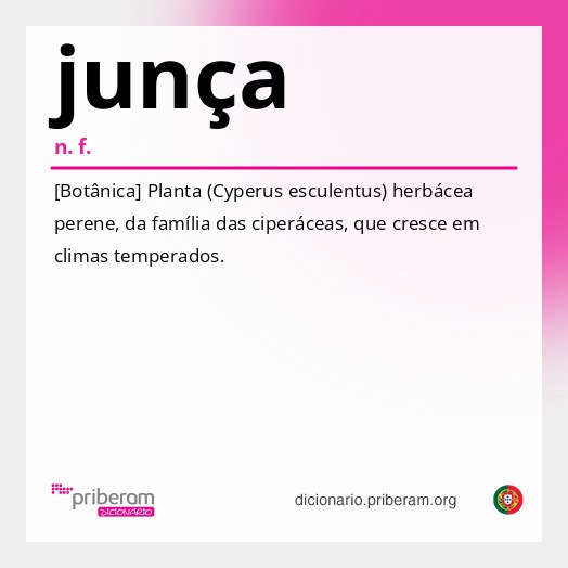 Significado de junça