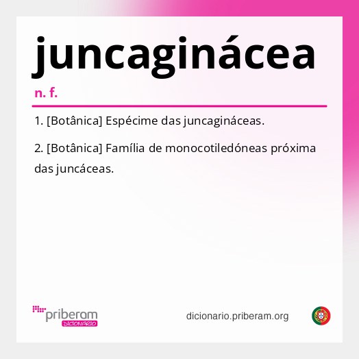 Significado de juncaginácea